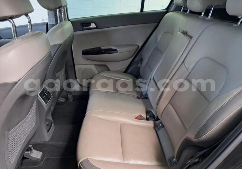 Big with watermark kia sportage bagmati behind berlin 33633