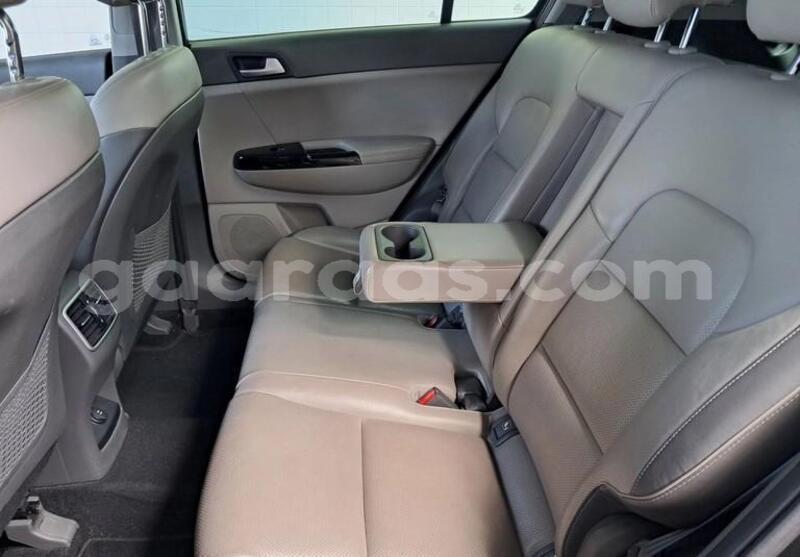 Big with watermark kia sportage bagmati behind berlin 33633