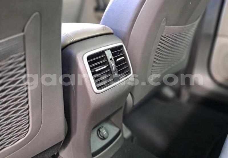 Big with watermark kia sportage bagmati behind berlin 33633
