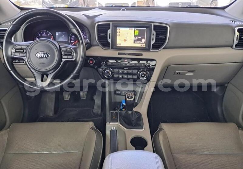 Big with watermark kia sportage bagmati behind berlin 33633