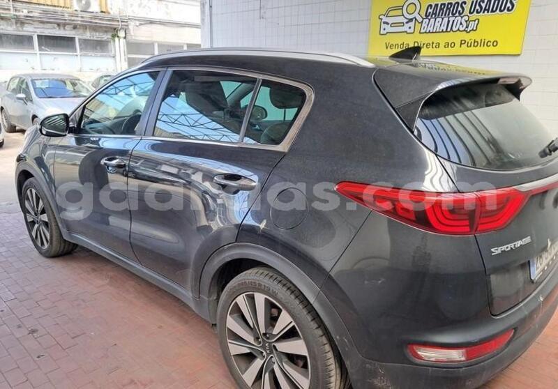 Big with watermark kia sportage bagmati behind berlin 33633