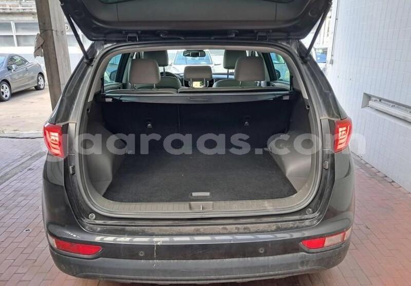 Big with watermark kia sportage bagmati behind berlin 33633
