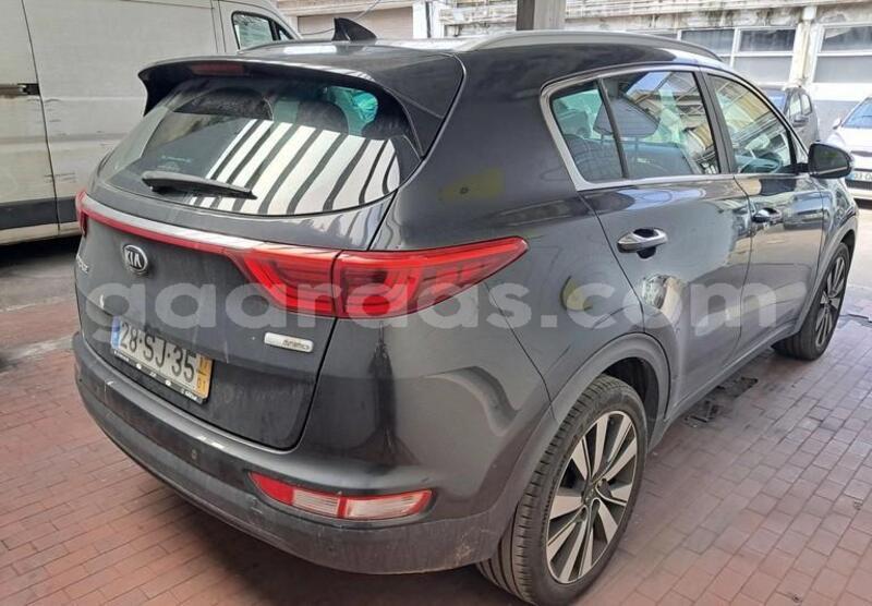 Big with watermark kia sportage bagmati behind berlin 33633