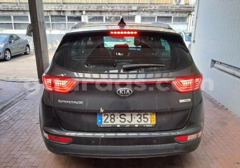 Big with watermark kia sportage bagmati behind berlin 33633