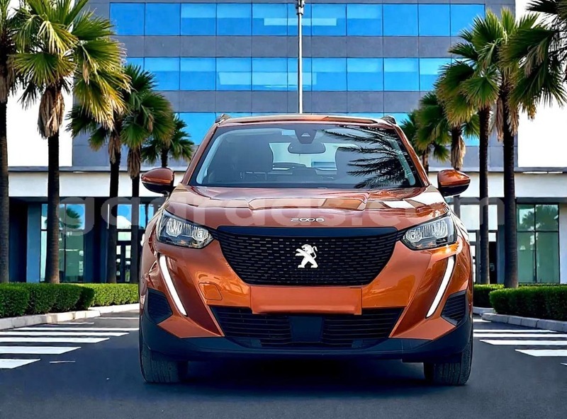 Big with watermark peugeot 2008 bagmati behind berlin 33647