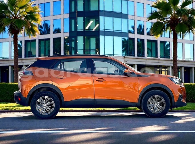 Big with watermark peugeot 2008 bagmati behind berlin 33647