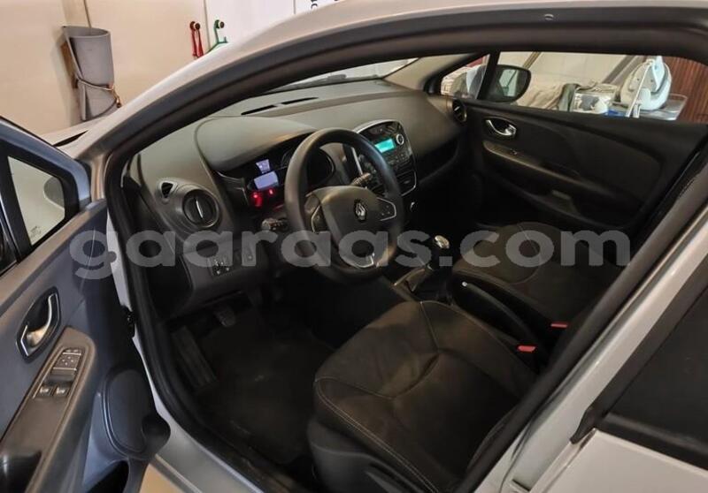 Big with watermark renault clio bagmati behind berlin 33660