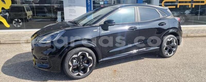Big with watermark ford puma kolda dabo 33663