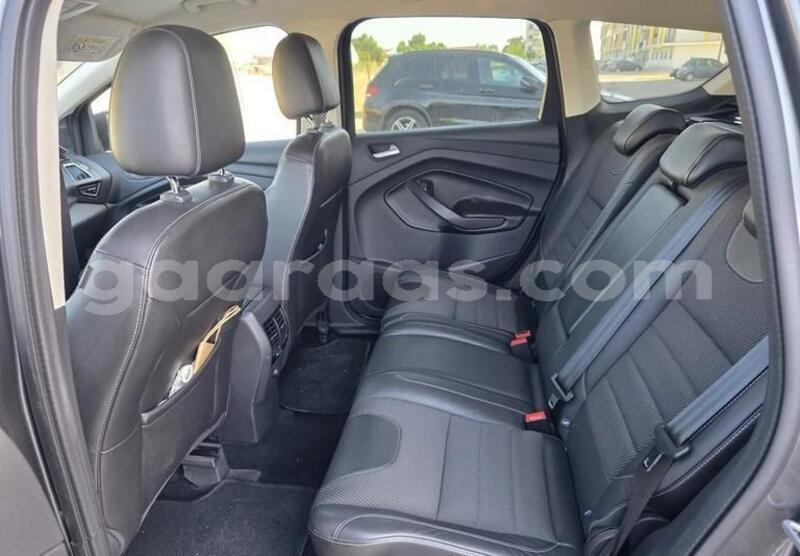 Big with watermark ford kuga kolda dabo 33666