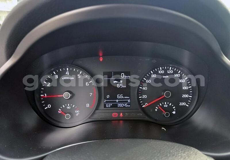 Big with watermark kia rio kolda dabo 33668