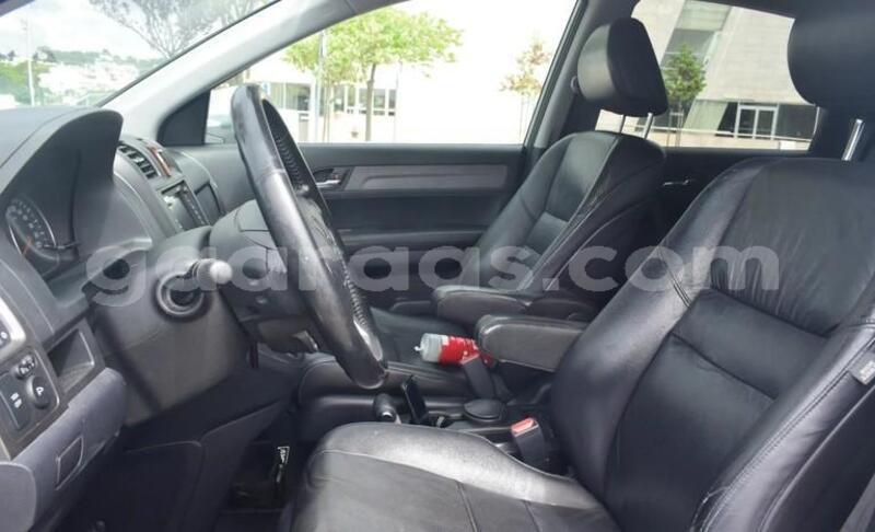 Big with watermark honda cr v kolda dabo 33671