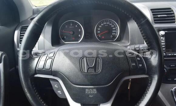 Acheter Occasion Voiture Honda CR–V Gris métallisé à Dabo, Kolda Acheter Occasion Voiture Honda CR–V Gris métallisé à Dabo, Kolda