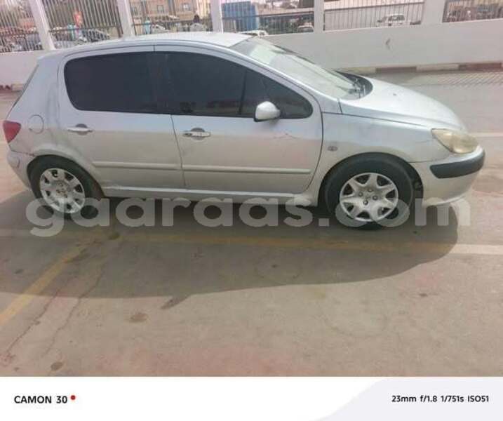 Big with watermark peugeot 307 dakar dakar 33715