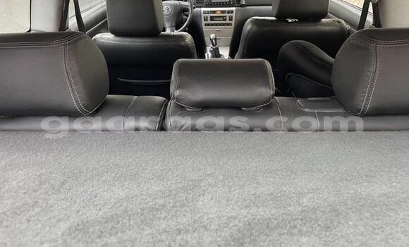 Acheter Occasion Voiture Toyota Corolla Gris à Dabo, Kolda Acheter Occasion Voiture Toyota Corolla Gris à Dabo, Kolda