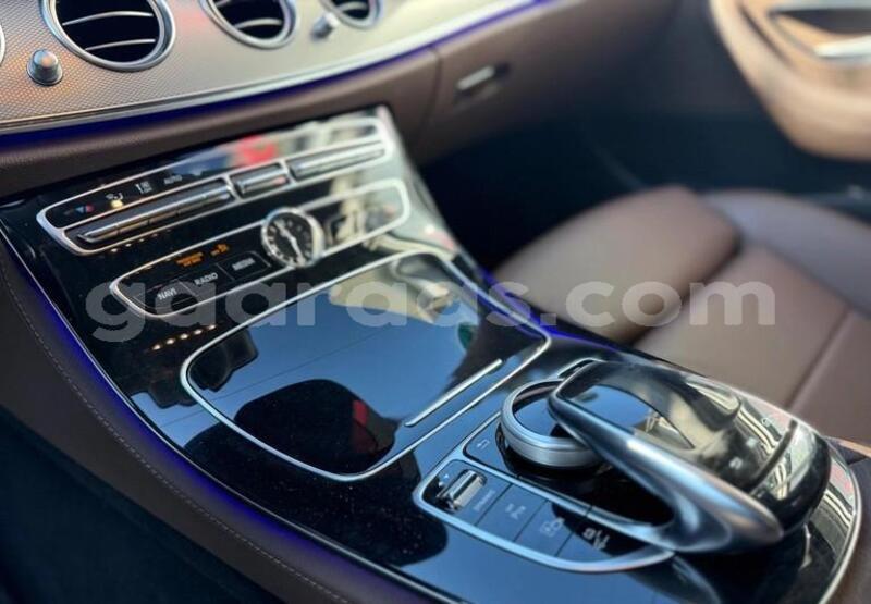 Big with watermark mercedes benz e class bagmati behind berlin 33783
