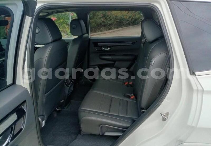 Big with watermark honda cr v dakar dakar 33789