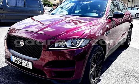 Acheter Occasion Voiture Jaguar F-Pace Rouge à Dabo, Kolda