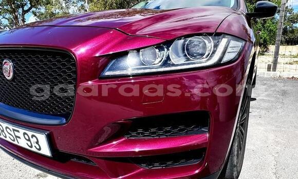 Acheter Occasion Voiture Jaguar F-Pace Rouge à Dabo, Kolda Acheter Occasion Voiture Jaguar F-Pace Rouge à Dabo, Kolda