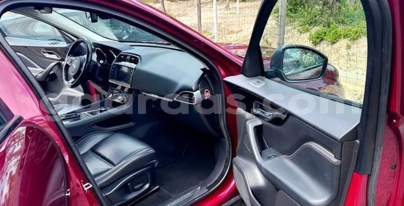 Big with watermark jaguar f pace kolda dabo 33801