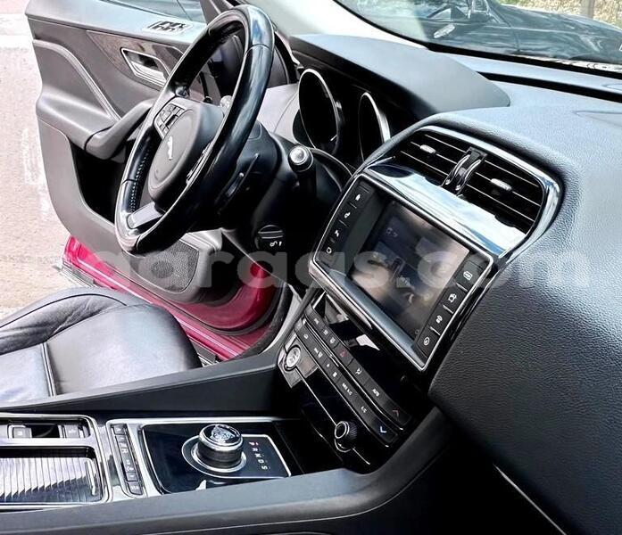 Big with watermark jaguar f pace kolda dabo 33801