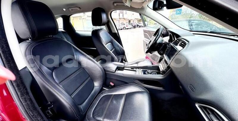 Big with watermark jaguar f pace kolda dabo 33801