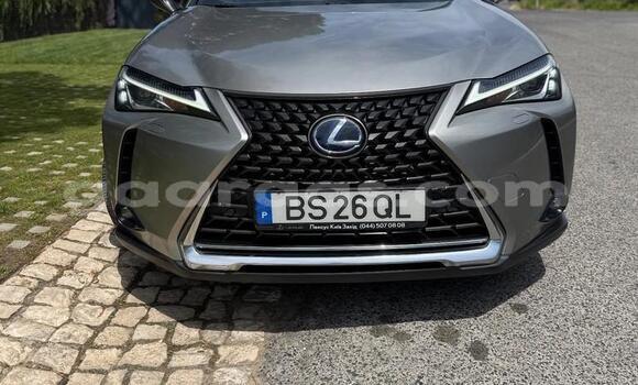 Acheter Occasion Voiture Lexus UX Gris à Bignona, Ziguinchor Acheter Occasion Voiture Lexus UX Gris à Bignona, Ziguinchor