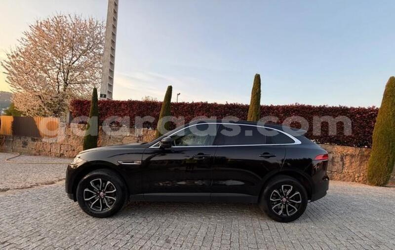 Big with watermark jaguar f pace dakar damniadio 33836