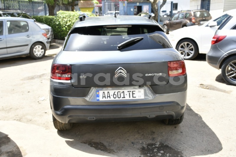 Big with watermark citroen c4 cactus dakar dakar 33844