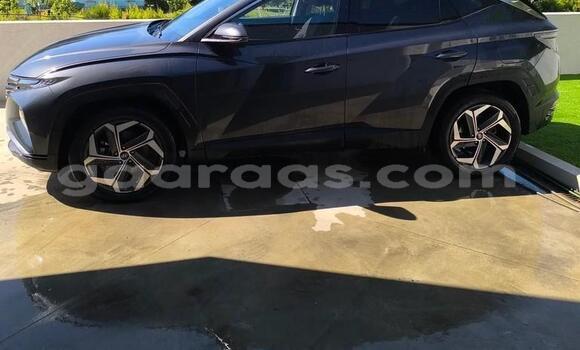 Acheter Occasion Voiture Hyundai Tucson Gris à Dahra, Louga Acheter Occasion Voiture Hyundai Tucson Gris à Dahra, Louga