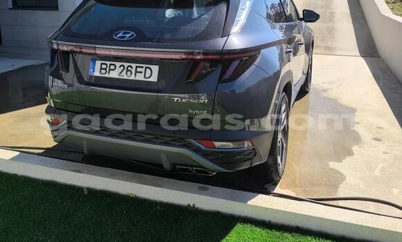 Acheter Occasion Voiture Hyundai Tucson Gris à Dahra, Louga Acheter Occasion Voiture Hyundai Tucson Gris à Dahra, Louga