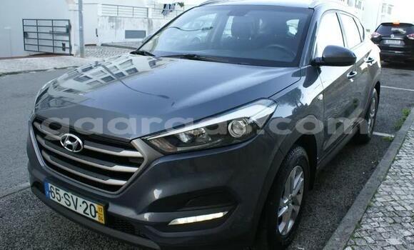 Acheter Occasion Voiture Hyundai Tucson Gris à Dagana, Saint-Louis