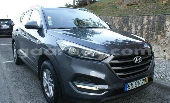 Acheter Occasion Voiture Hyundai Tucson Gris à Dagana, Saint-Louis Acheter Occasion Voiture Hyundai Tucson Gris à Dagana, Saint-Louis