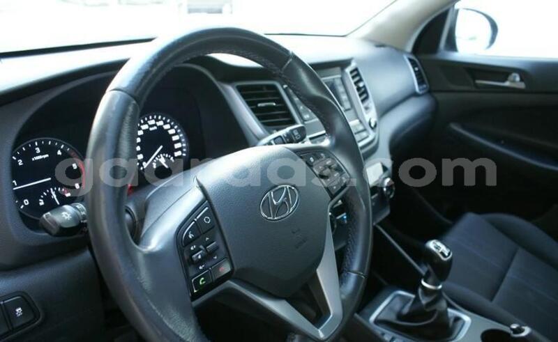 Big with watermark hyundai tucson saint louis dagana 33870