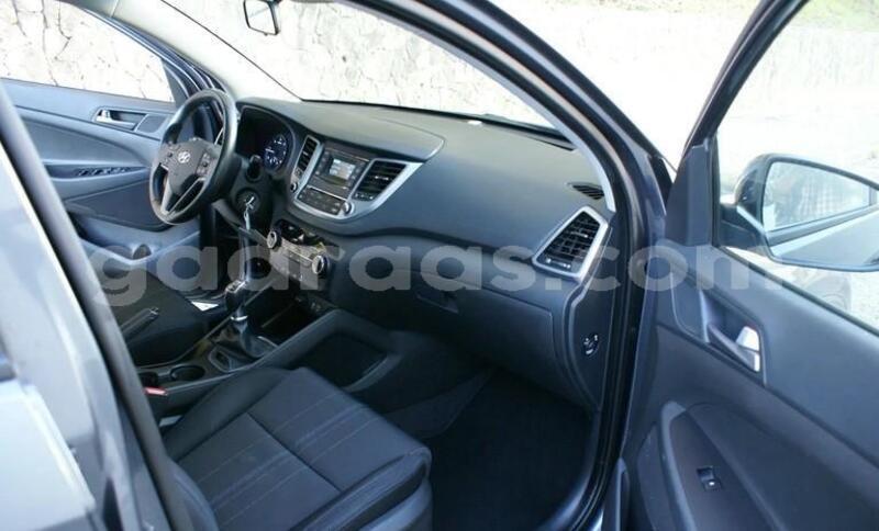 Big with watermark hyundai tucson saint louis dagana 33870