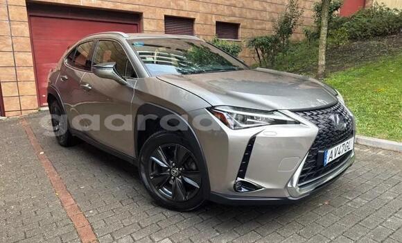Acheter Occasion Voiture Lexus UX Gris à Bignona, Ziguinchor