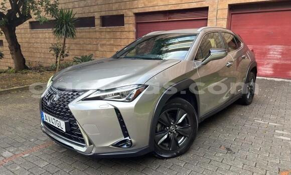 Acheter Occasion Voiture Lexus UX Gris à Bignona, Ziguinchor Acheter Occasion Voiture Lexus UX Gris à Bignona, Ziguinchor