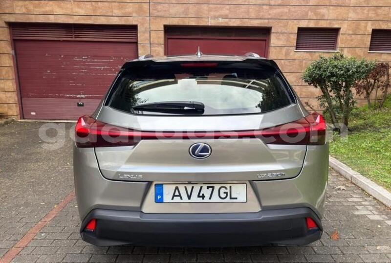 Big with watermark lexus ux ziguinchor bignona 33896
