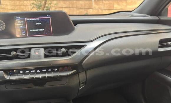 Acheter Occasion Voiture Lexus UX Gris à Bignona, Ziguinchor Acheter Occasion Voiture Lexus UX Gris à Bignona, Ziguinchor