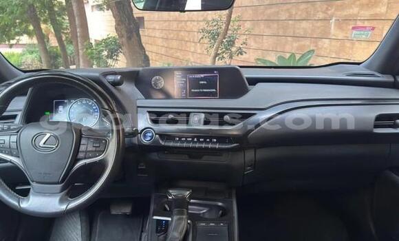 Acheter Occasion Voiture Lexus UX Gris à Bignona, Ziguinchor Acheter Occasion Voiture Lexus UX Gris à Bignona, Ziguinchor