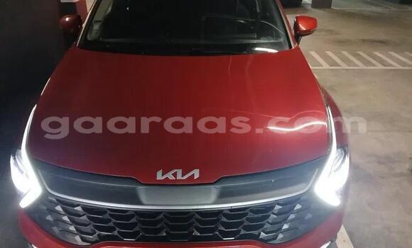 Acheter Occasion Voiture Kia Sportage Rouge à Bignona, Ziguinchor
