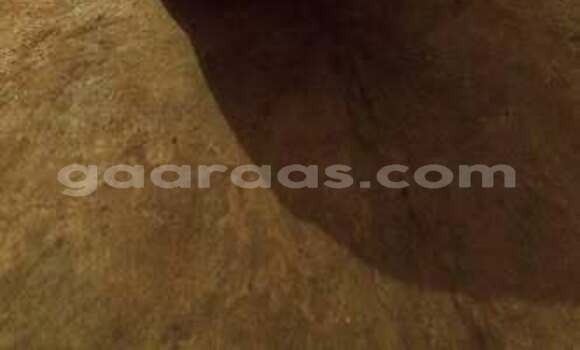 Buy Used Hyundai Tucson Other Car in Dakar in Dakar Buy Used Hyundai Tucson Other Car in Dakar in Dakar