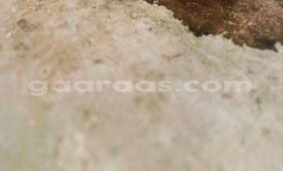 Buy Used Hyundai Tucson Other Car in Dakar in Dakar Buy Used Hyundai Tucson Other Car in Dakar in Dakar