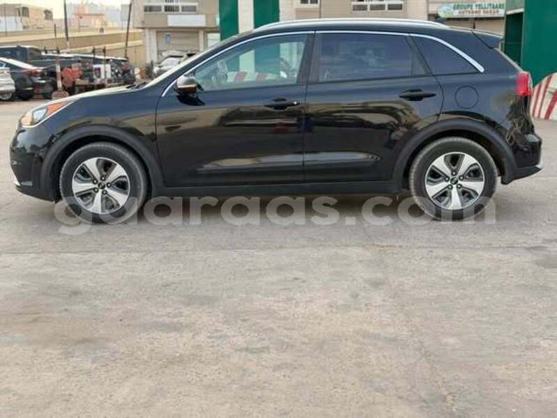 Big with watermark kia niro louga dahra 33929
