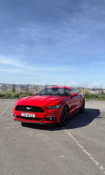 Big with watermark ford mustang dakar dakar 33945