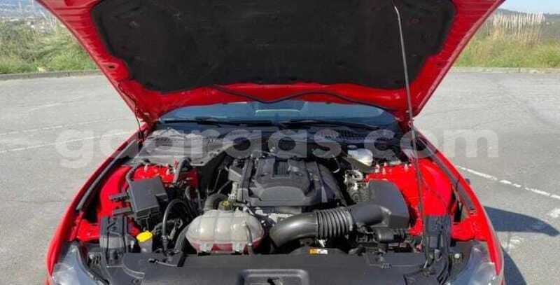 Big with watermark ford mustang dakar dakar 33945