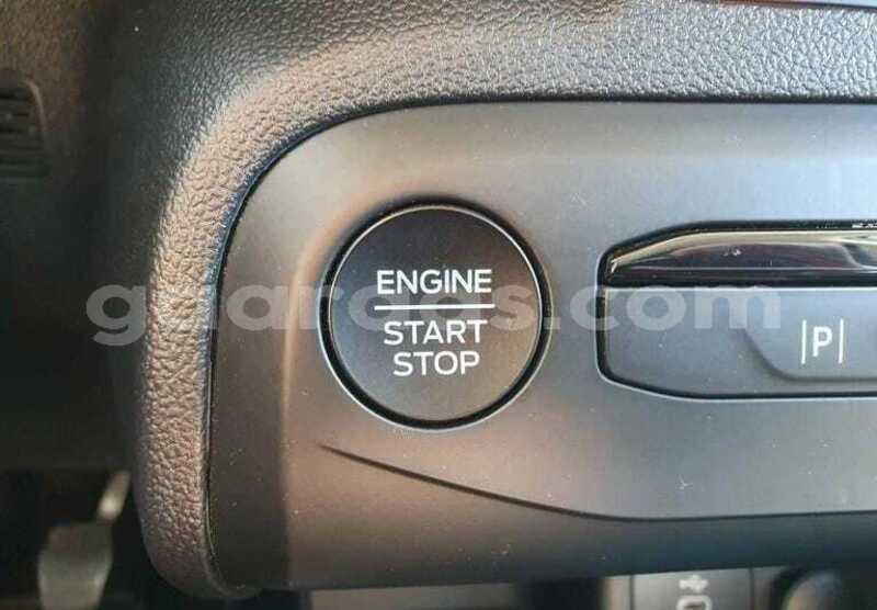 Big with watermark ford focus kolda dabo 33951