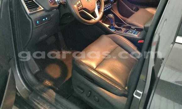 Acheter Occasion Voiture Hyundai Tucson Autre à Dabo, Kolda Acheter Occasion Voiture Hyundai Tucson Autre à Dabo, Kolda