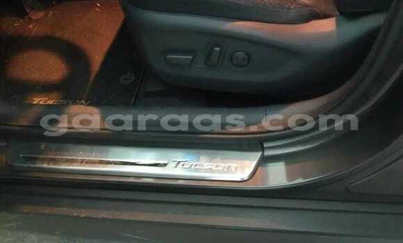 Acheter Occasion Voiture Hyundai Tucson Autre à Dabo, Kolda Acheter Occasion Voiture Hyundai Tucson Autre à Dabo, Kolda