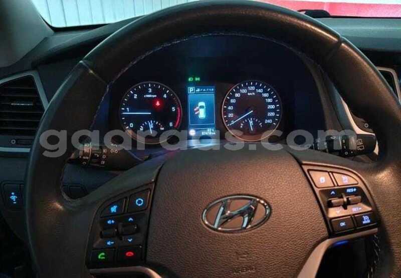 Big with watermark hyundai tucson kolda dabo 33964