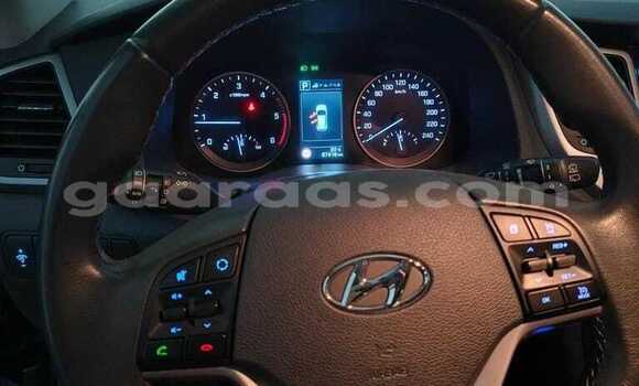 Acheter Occasion Voiture Hyundai Tucson Autre à Dabo, Kolda Acheter Occasion Voiture Hyundai Tucson Autre à Dabo, Kolda